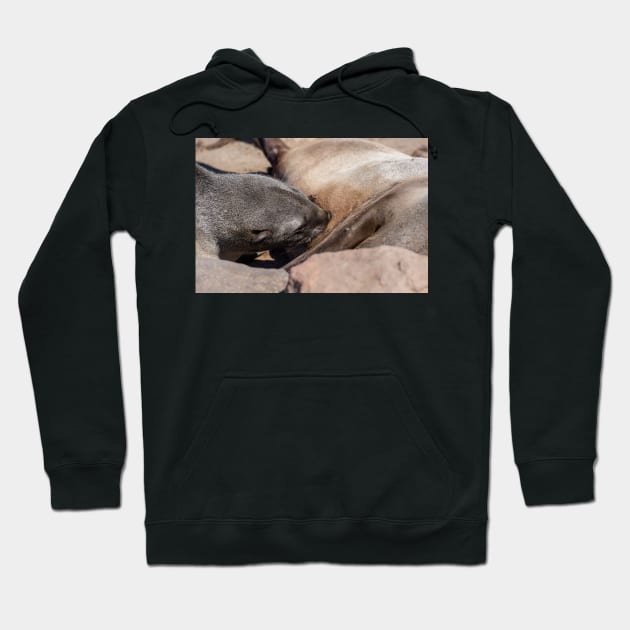 Baby fur seal feeding. Hoodie by sma1050